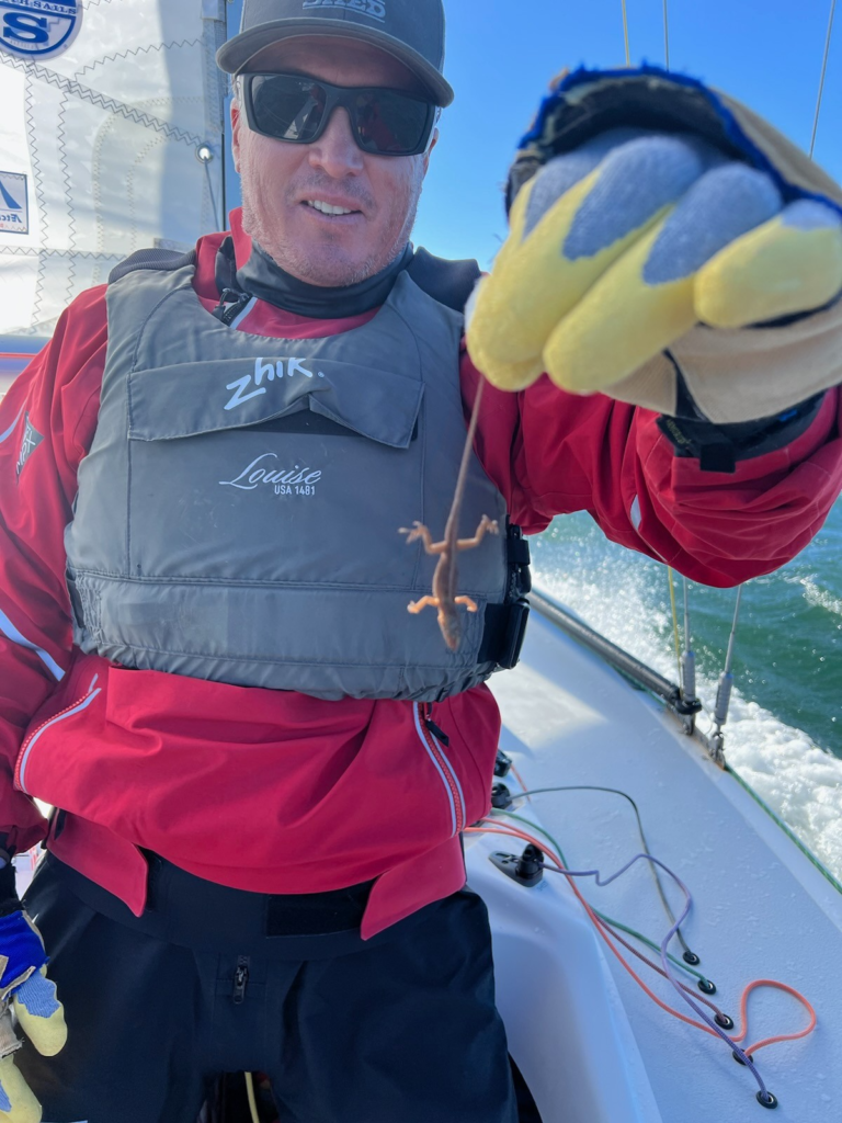 Sailor holds us lizard